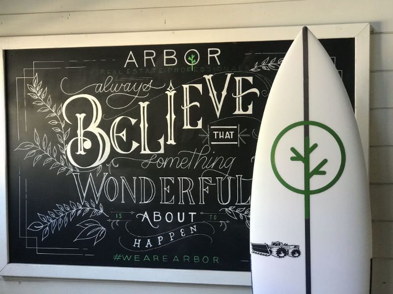 Arbor Surf Board