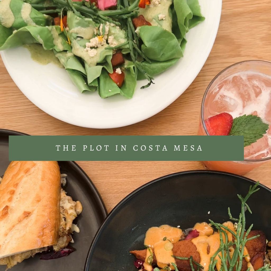 The Plot: A Plant-Based Culinary Gem at The Camp in Costa Mesa