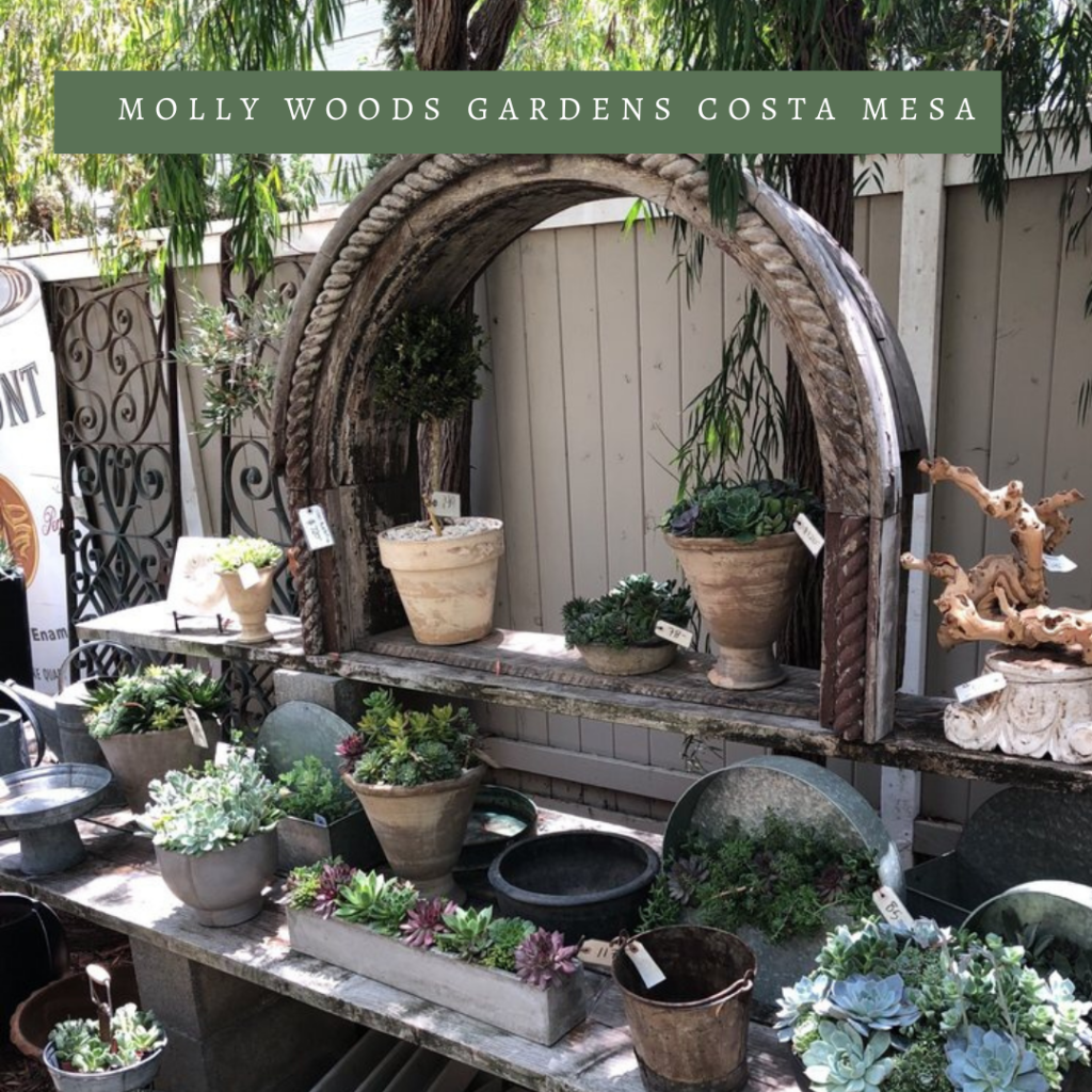 Local Business Spotlight: Molly Woods Gardens